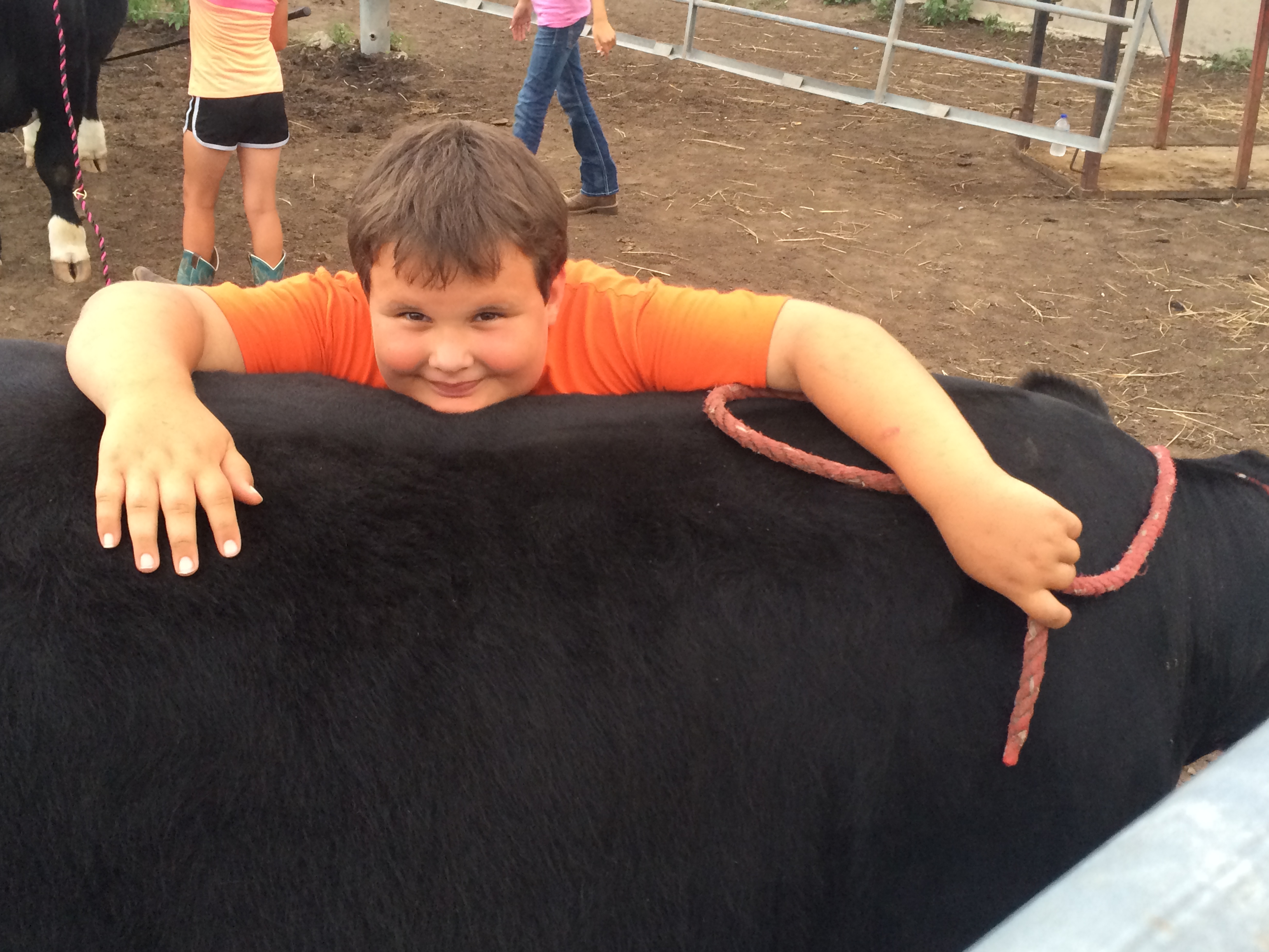 For the Love of 4-H by Amy Wilson - Illustrated by Amy Wilson - Ourboox.com