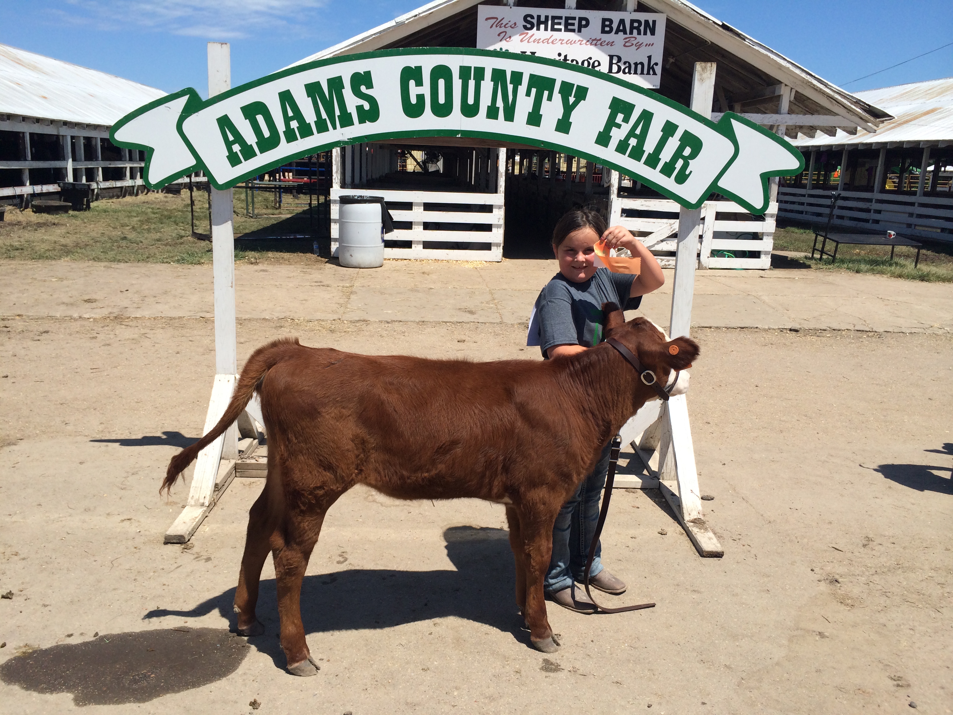 For the Love of 4-H by Amy Wilson - Illustrated by Amy Wilson - Ourboox.com