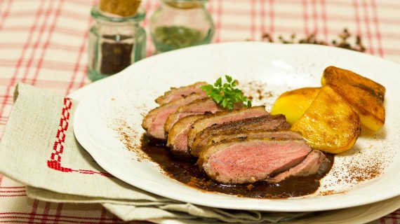 Bon Appetit by Isaac Paulo Aris - Illustrated by Isaac Mendez Ruiz,Paulo Castro Mendoza,Aristeven Cambronero Robles   - Ourboox.com