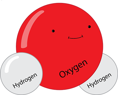 My Life as a Water Molecule