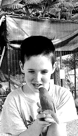 יאנקו ואני by amit - Illustrated by עמית אסטה - Ourboox.com