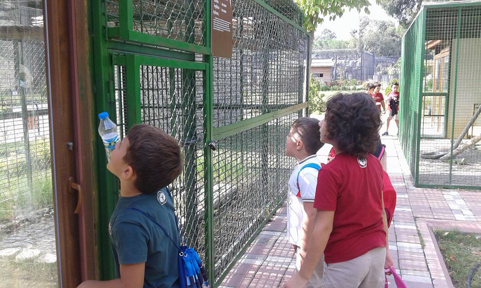 2 C HAYVANAT BAHÇESİNDE by Emel Turan - Ourboox.com