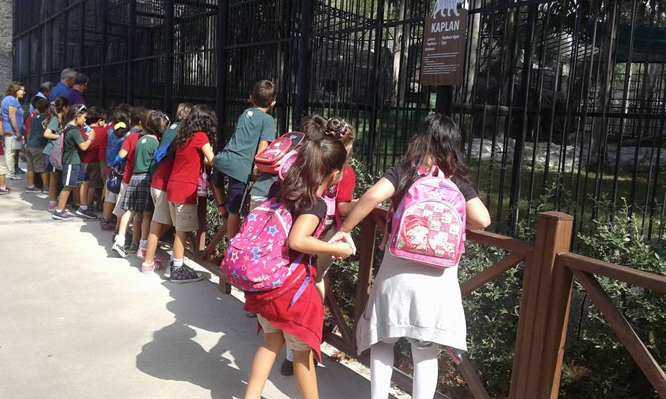 2 C HAYVANAT BAHÇESİNDE by Emel Turan - Ourboox.com