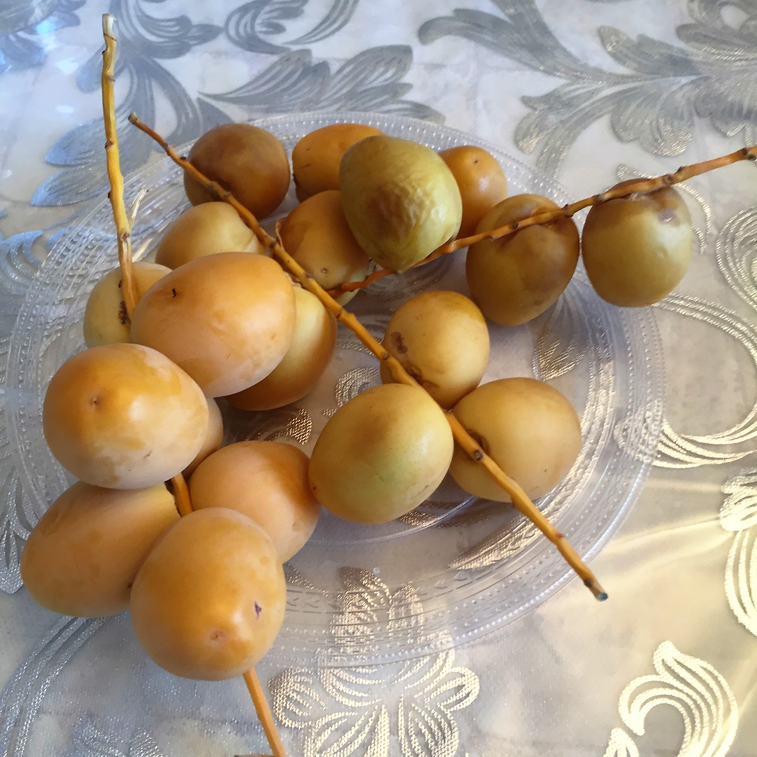 Rosh Hashana (the Jewish New Year) at Mir and Benny’s – A Memory Book by Mel Rosenberg - מל רוזנברג - Ourboox.com