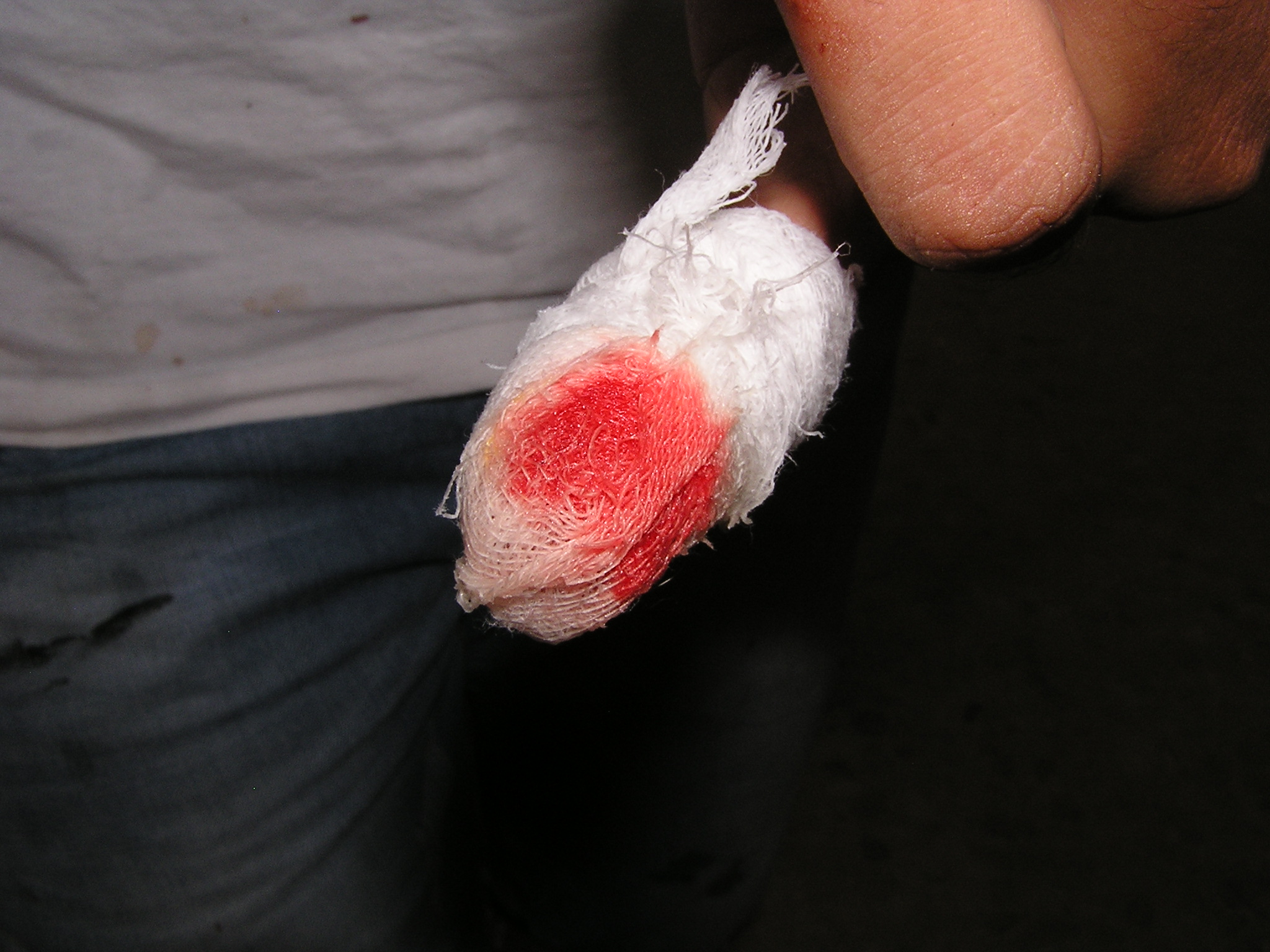 הארוחה המושלמת בבית חדד by agam - Illustrated by מאת אגם מגן - Ourboox.com