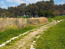 יום בחיי תלמיד בשנת 2400 by yasmin chizhov - Illustrated by יסמין צ