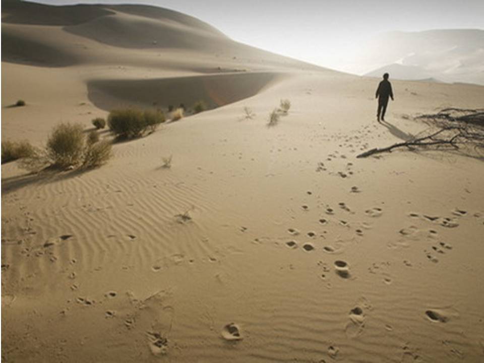 עיר הזהב הקדושה by neveoz - Illustrated by דני קריימרמן - Ourboox.com