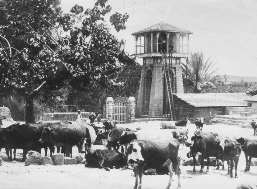 באר המים הראשונה בראשון לציון by atarim - Ourboox.com