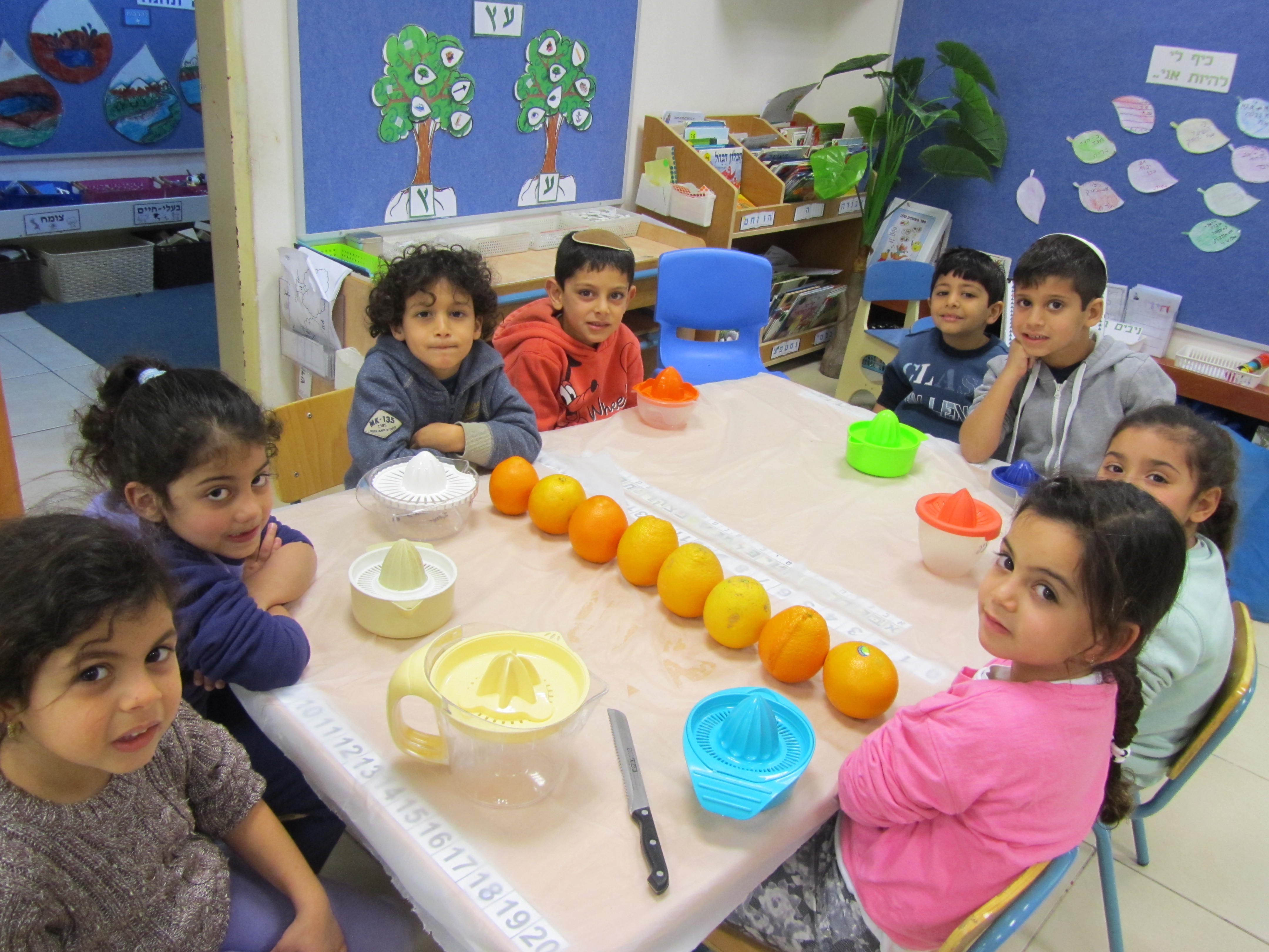 הפרדס ופירות ההדר by avital - Ourboox.com