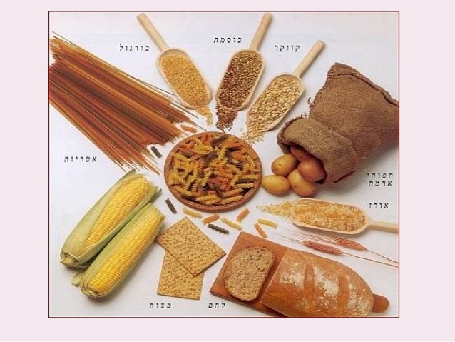 תזונה מקדמת בריאות by carmela cohanim - Illustrated by כרמלה כהנים , דבורה מיארא - Ourboox.com