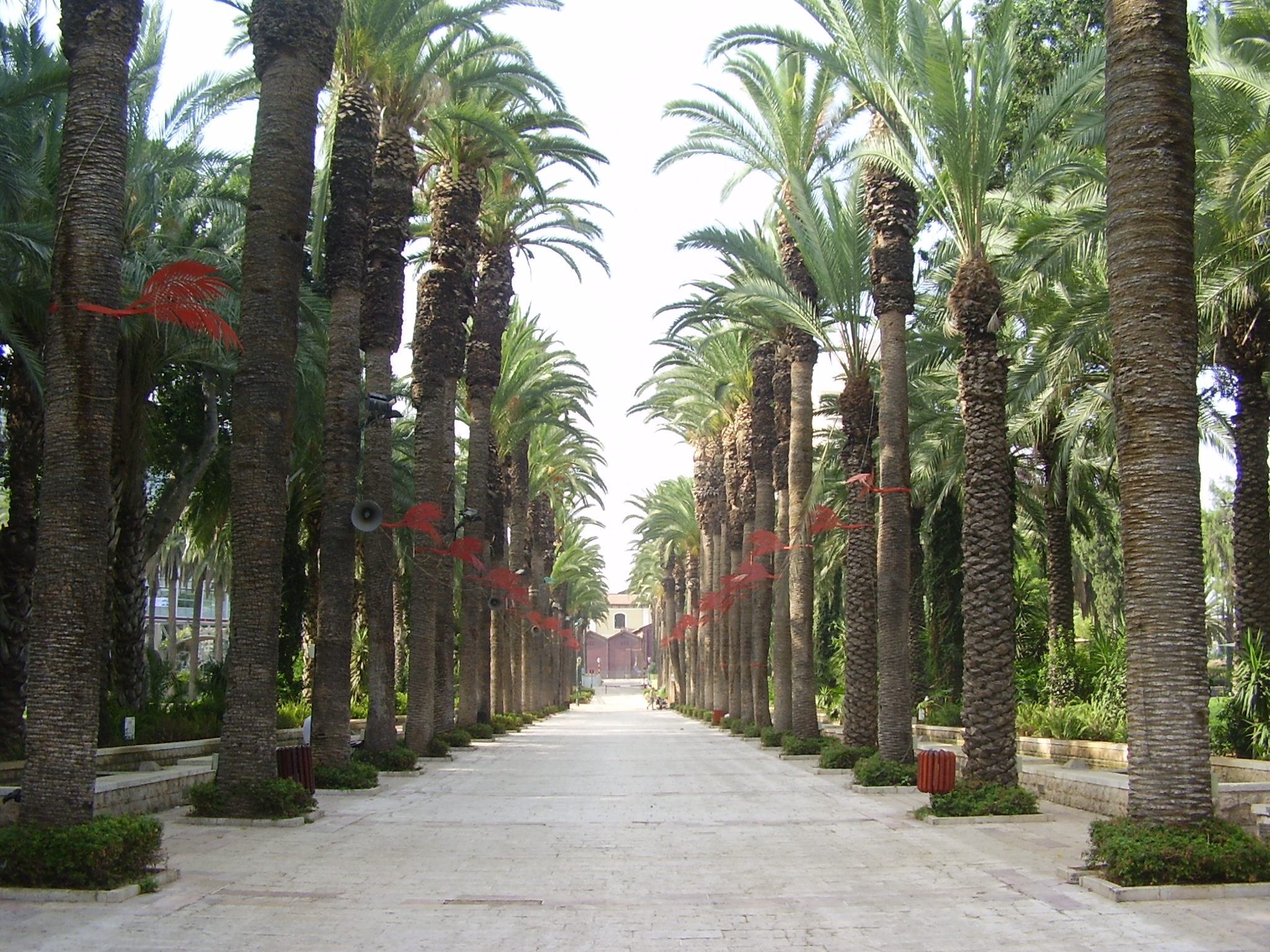 המבקרים בגן העיר by atarim - Illustrated by  כתבו: ליאן רוזוליו ורומי לוי - Ourboox.com