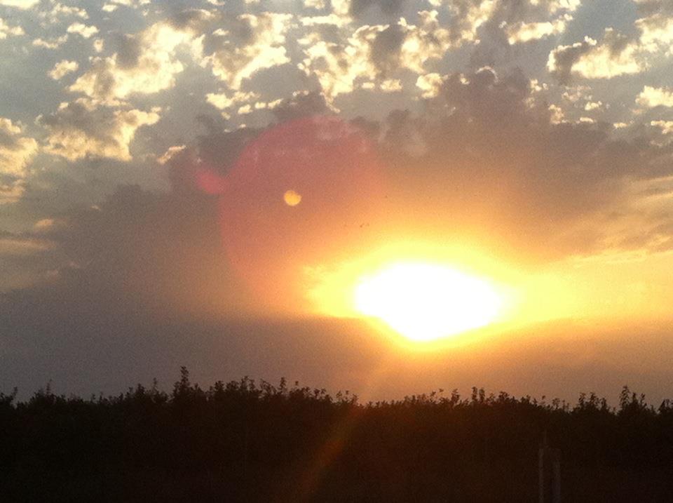 שרונה הקוטפת הקטנה by amit ler - Ourboox.com