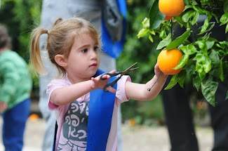 שרונה הקוטפת הקטנה by amit ler - Ourboox.com