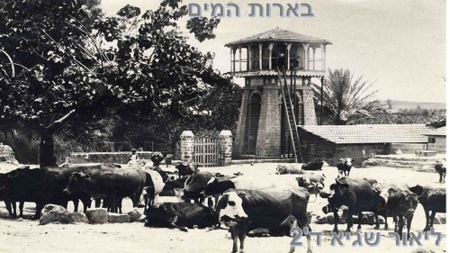 סיפור מולדת ראשון לציון by atarim - Illustrated by   כיתה ד2-ליאור ונועם - Ourboox.com