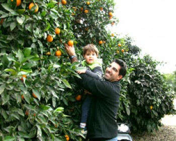 שרונה הקוטפת הקטנה by amit ler - Ourboox.com