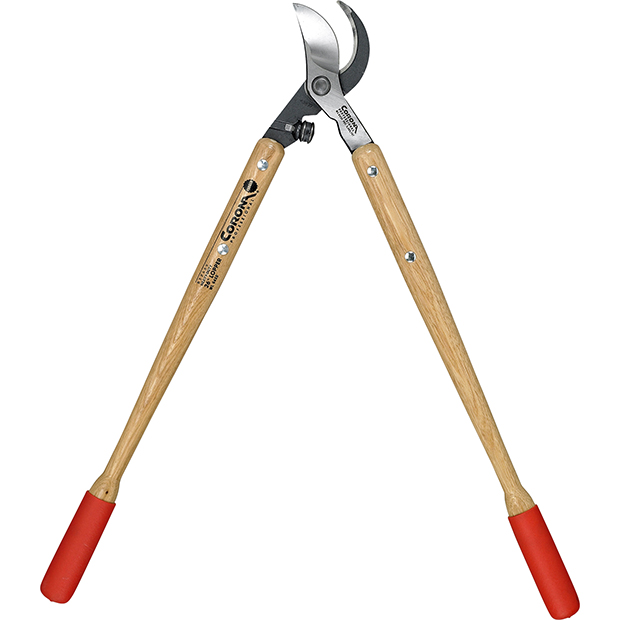 שרונה הקוטפת הקטנה by amit ler - Ourboox.com