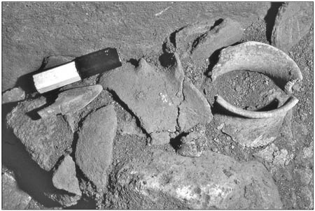 סיפור מולדת ראשון לציון by atarim - Illustrated by   כיתה ד2-ליאור ונועם - Ourboox.com