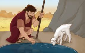 הסנה הבוער by or - Ourboox.com