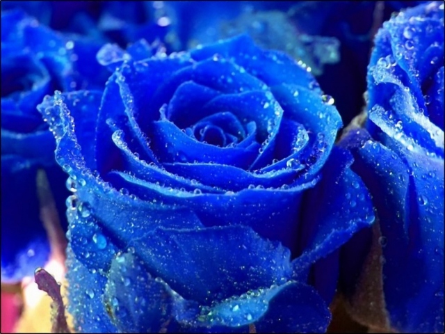 צבעים by jordan cherun - Ourboox.com