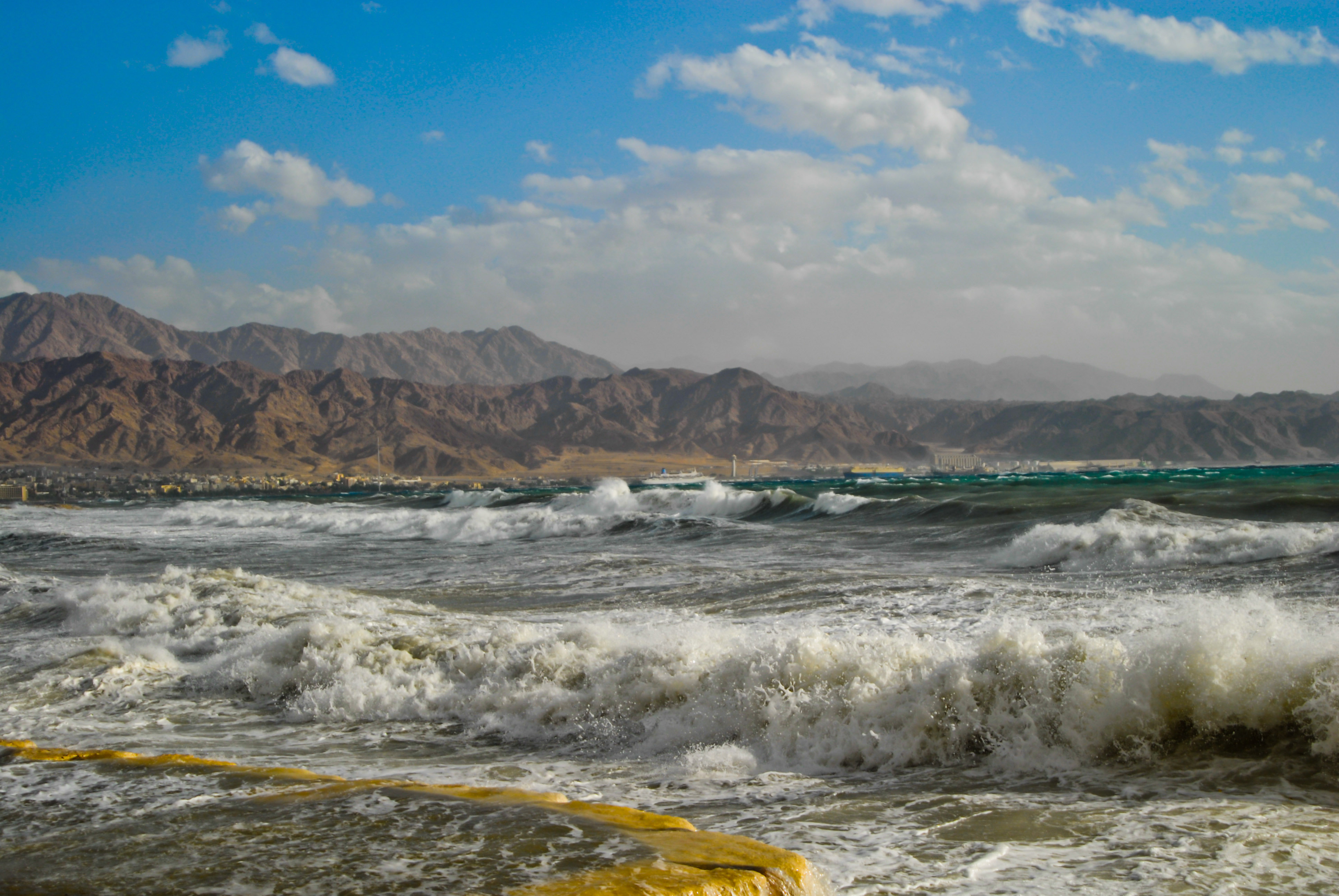 הרפתקאות רועי באי by Ben Kunik - Illustrated by בן קוניק ואמיר - Ourboox.com