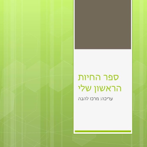 ספר החיות הראשון שלי by Lehava Or Yehuda - Ourboox.com