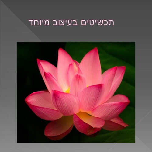 ספר לדוגמה-נחמה by nehamak - Ourboox.com