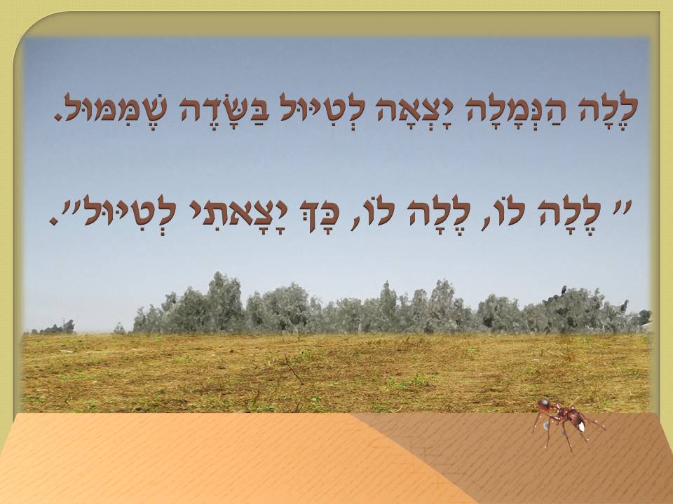 טיול בסתיו by ariellamiryamboaron - Ourboox.com