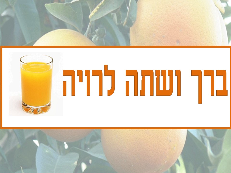 הפרדס ופירות ההדר by avital - Ourboox.com