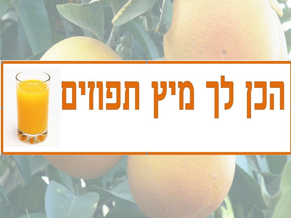 הפרדס ופירות ההדר by avital - Ourboox.com