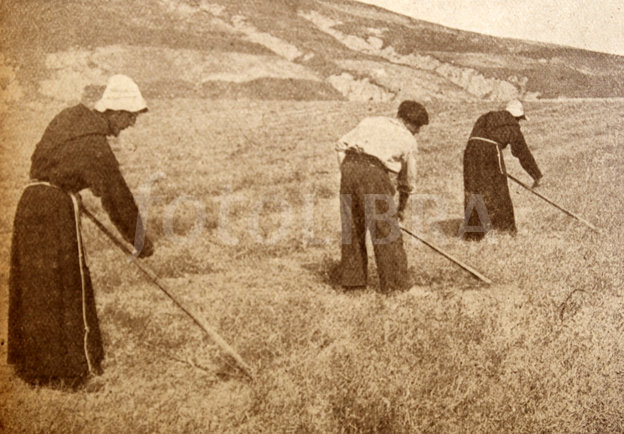 יומני הנזיר by adi grinfeld - Illustrated by עדי גרינפלד - Ourboox.com