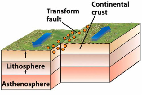 The Plates by Connor Soultz - Ourboox.com