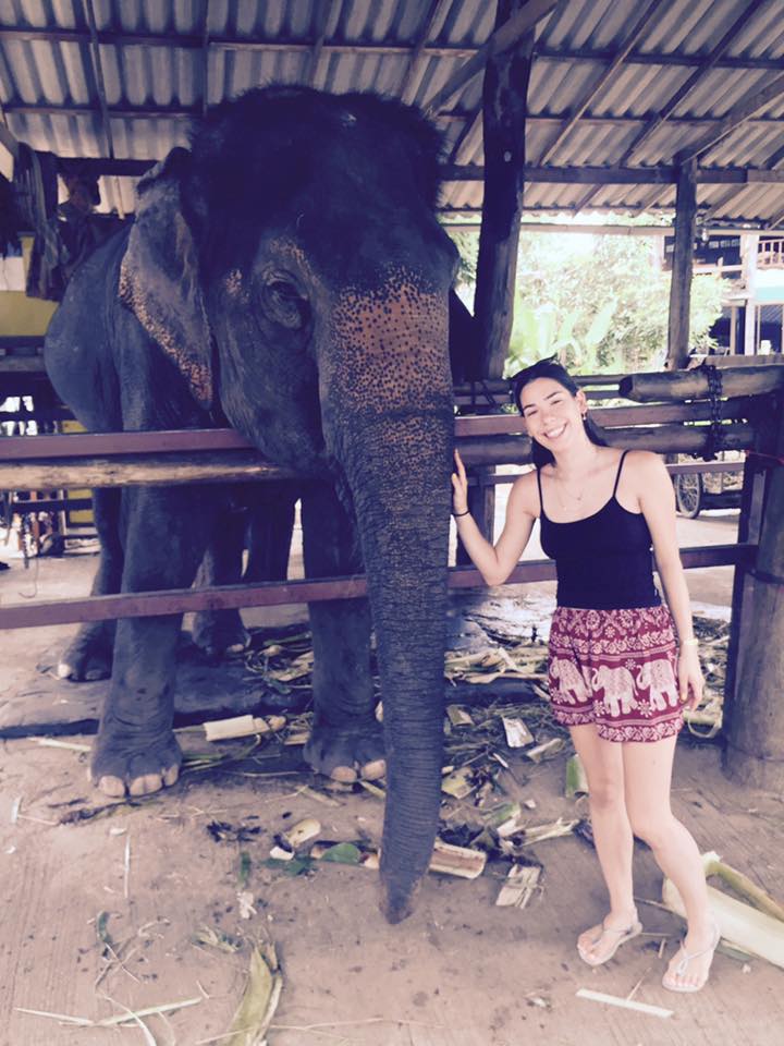 הטיול הגדול by anat - Illustrated by ענת כהן - Ourboox.com