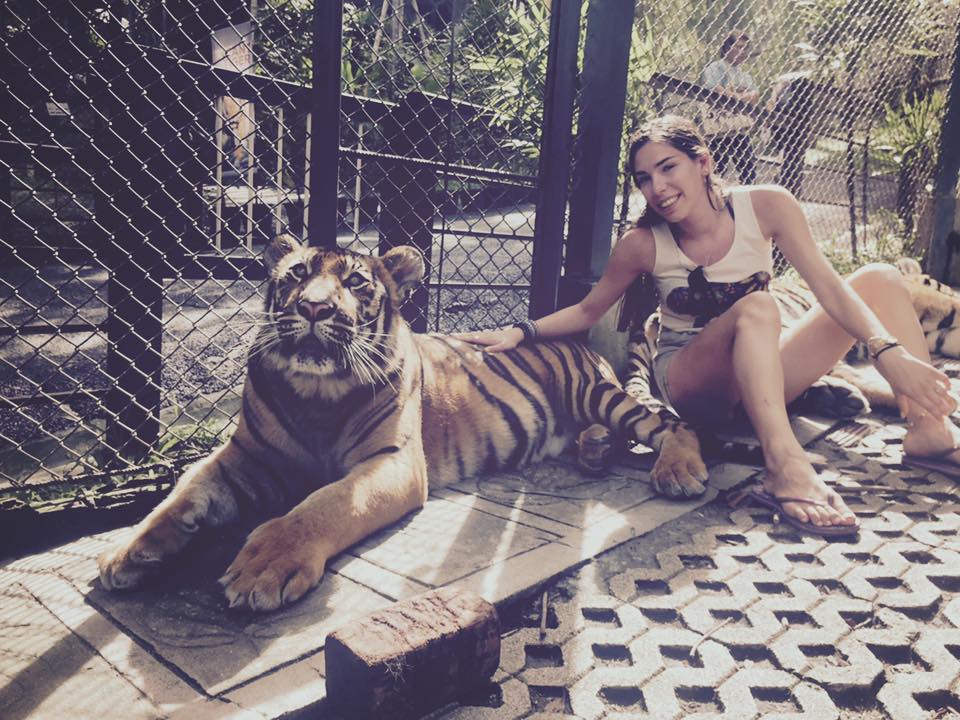 הטיול הגדול by anat - Illustrated by ענת כהן - Ourboox.com