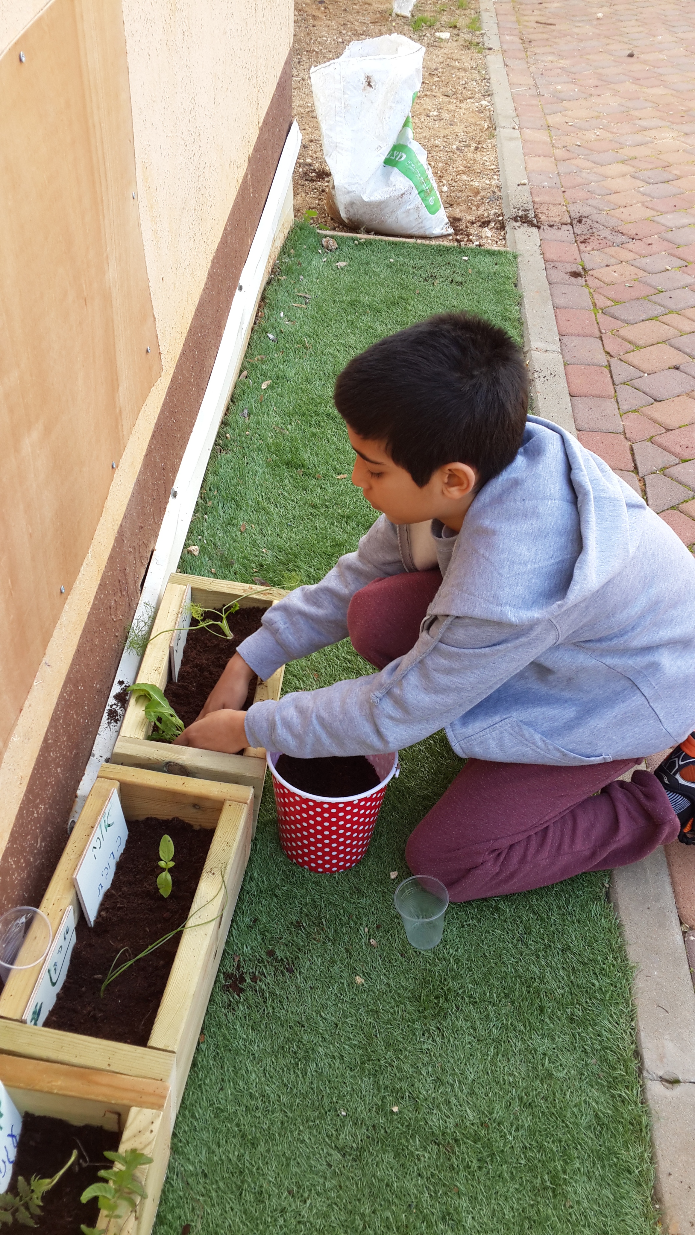 לימוד יצירתי כמקדם ומפתח את תחושת היכולת והביטחון העצמי אצל תלמידי החינוך המיוחד by tal - Illustrated by מגישות: אילה פלסקוב, אורה קנולר יעל שר וטל בן אברהם - Ourboox.com