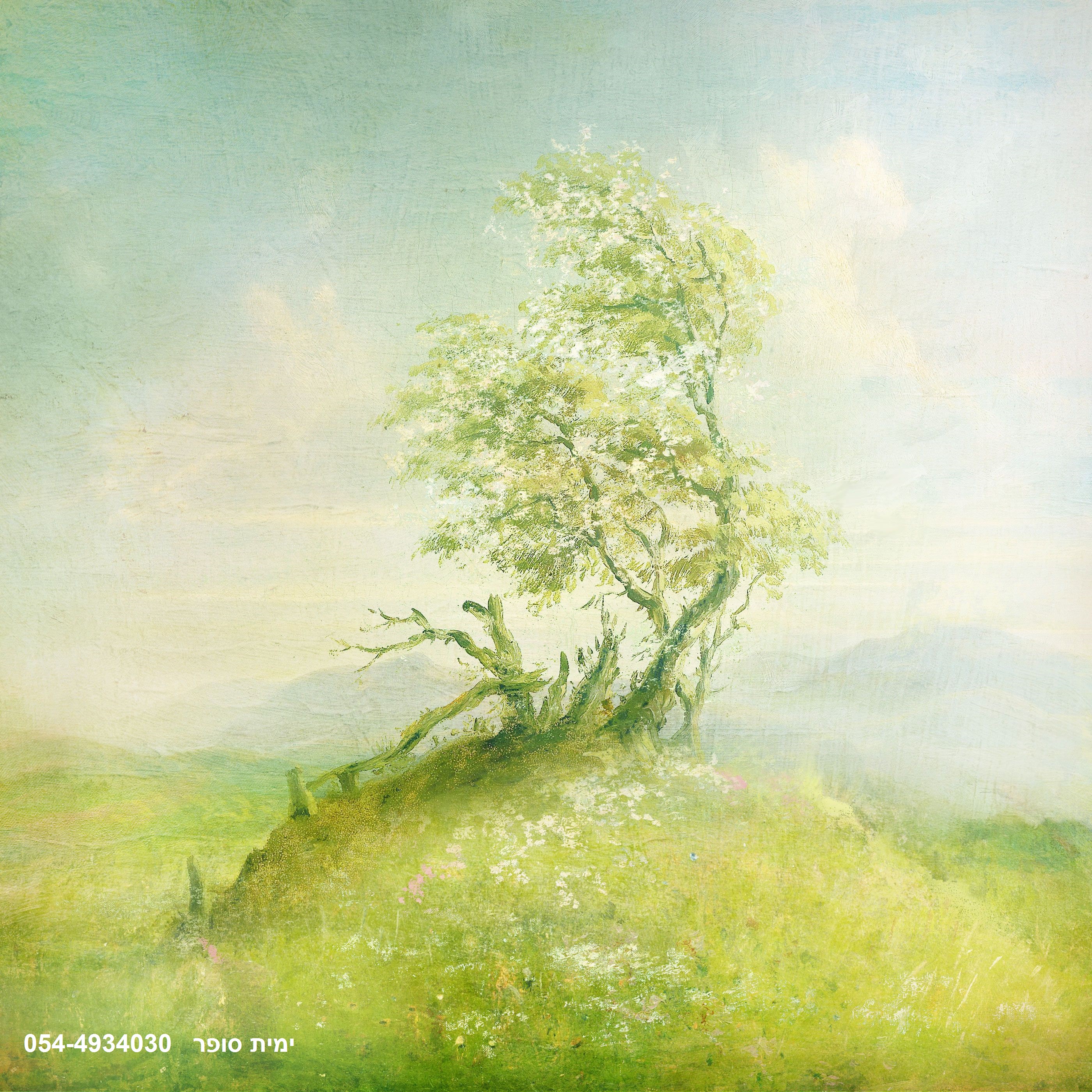 satya by yamit sofer - Ourboox.com