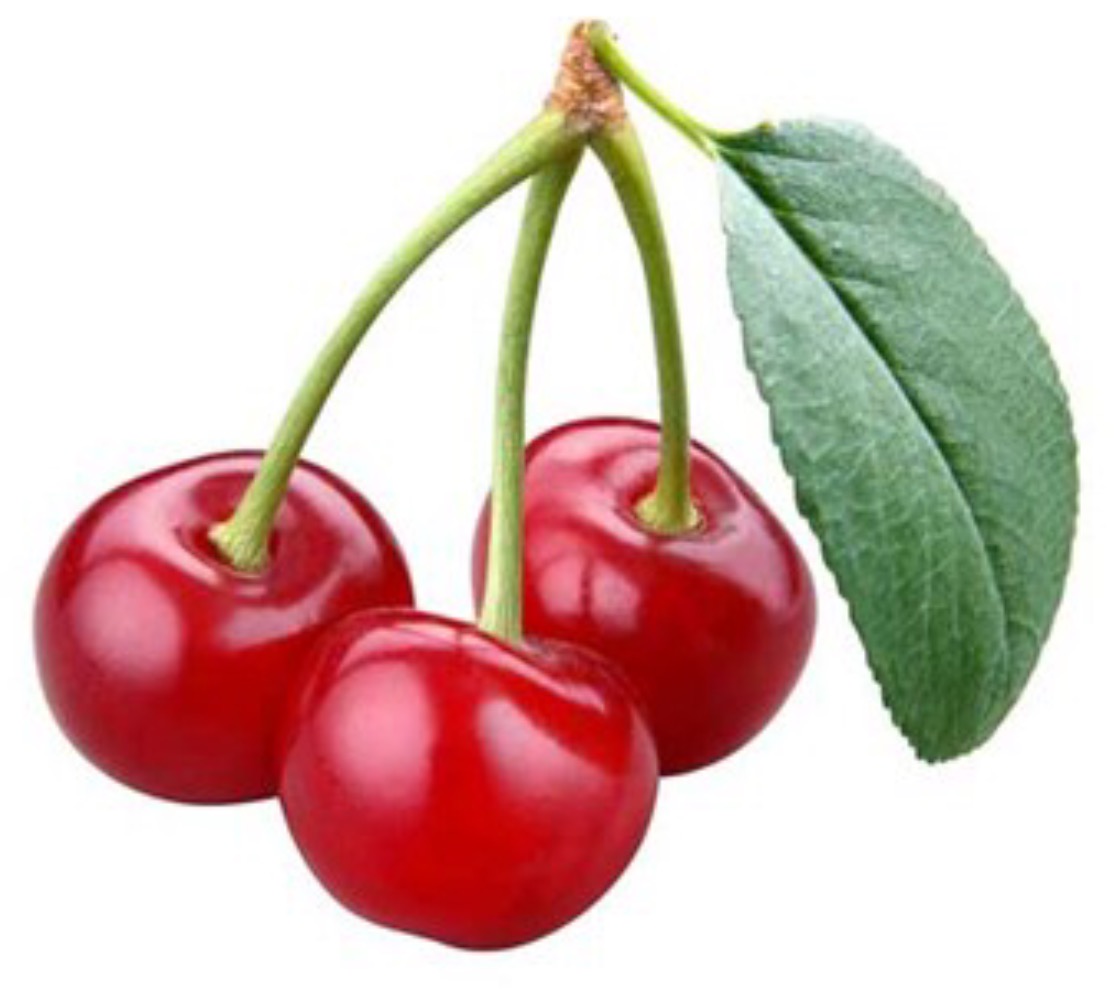 שמוליק הקיפוד by ido istrik - Ourboox.com