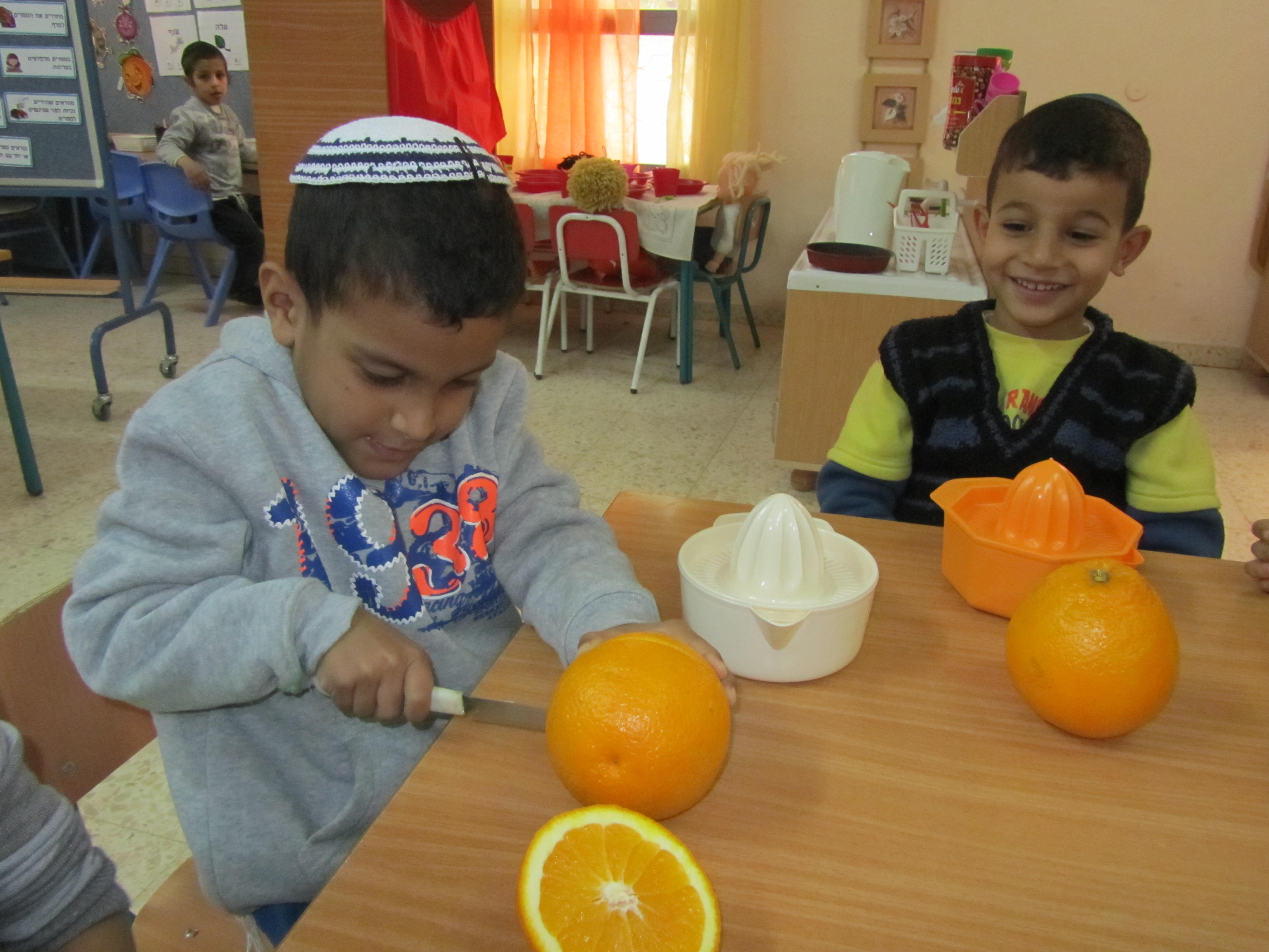 הפרדס ופירות ההדר by avital - Ourboox.com