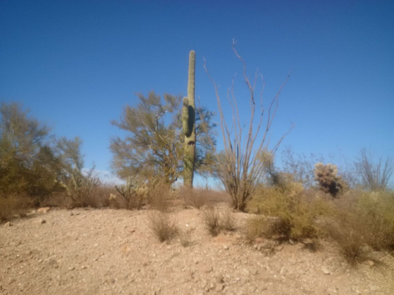 Uniting Around English by Mel Rosenberg - מל רוזנברג - Ourboox.com