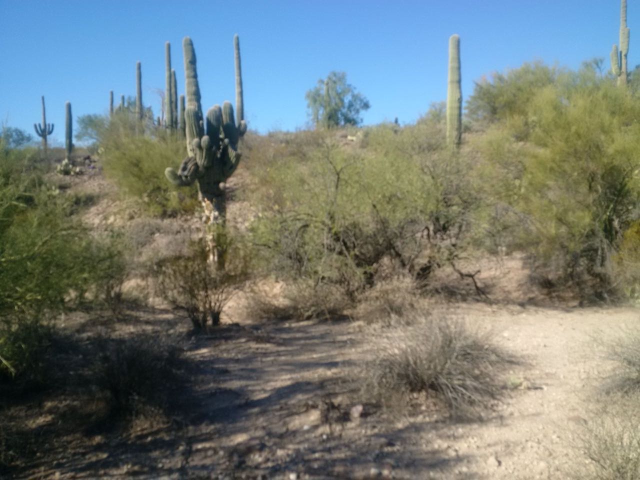 Uniting Around English by Mel Rosenberg - מל רוזנברג - Ourboox.com