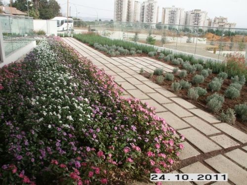 book wafa by wafa borya - Ourboox.com