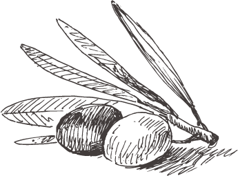 الزيت والزيتون by basmala saleh - Ourboox.com