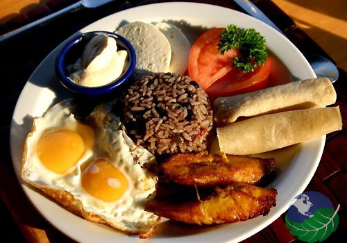 Costa Rican National Food by hannia - Illustrated by Hannia Solís - Ourboox.com