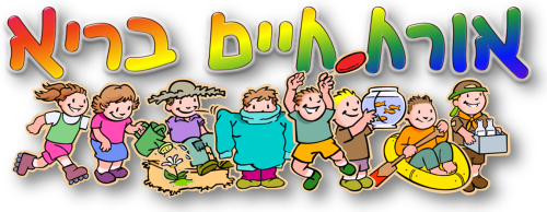 פירמידת המזון by nofar - Illustrated by נופר אהרון - Ourboox.com