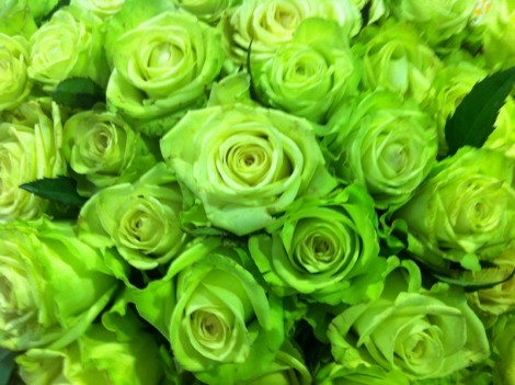 צבעים by jordan cherun - Ourboox.com