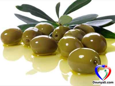 الزيت والزيتون by basmala saleh - Ourboox.com