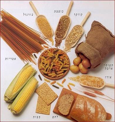 פירמידת המזון by nofar - Illustrated by נופר אהרון - Ourboox.com