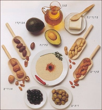 פירמידת המזון by nofar - Illustrated by נופר אהרון - Ourboox.com