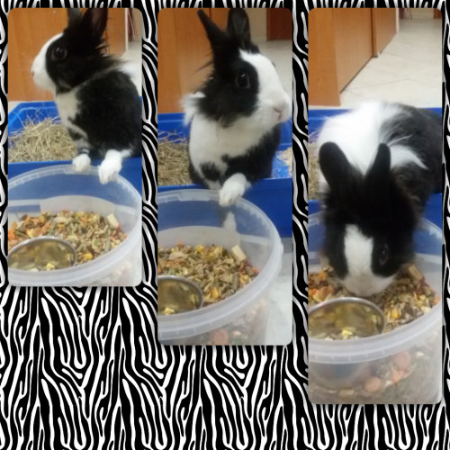 Autumn by Monia - Ourboox.com