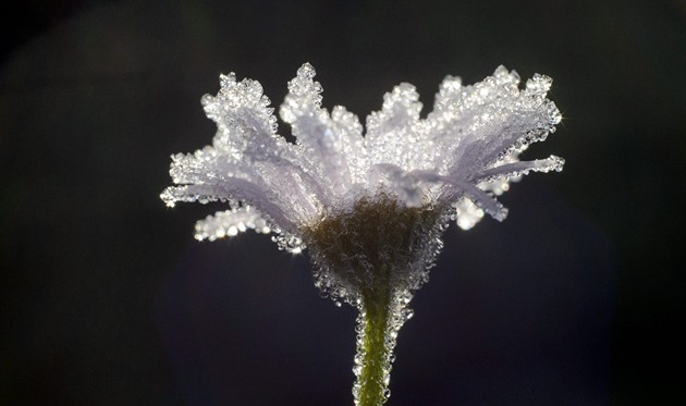 Talvirunoutta by Tuntematon - Ourboox.com