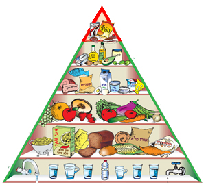פירמידת המזון by nofar - Illustrated by נופר אהרון - Ourboox.com
